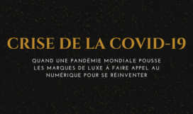 CRISE DE LA COVID-19